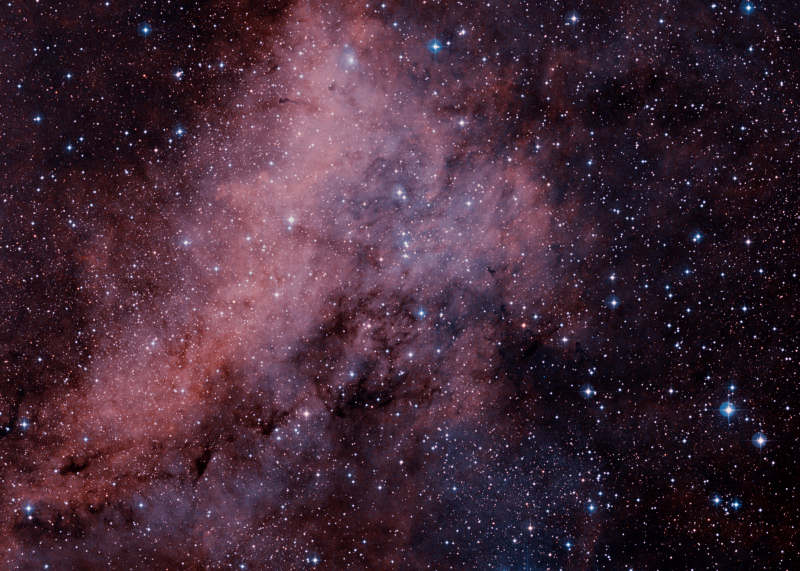 IC 1318 - Sadr Region Nebulae