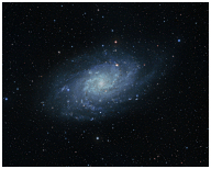 M33